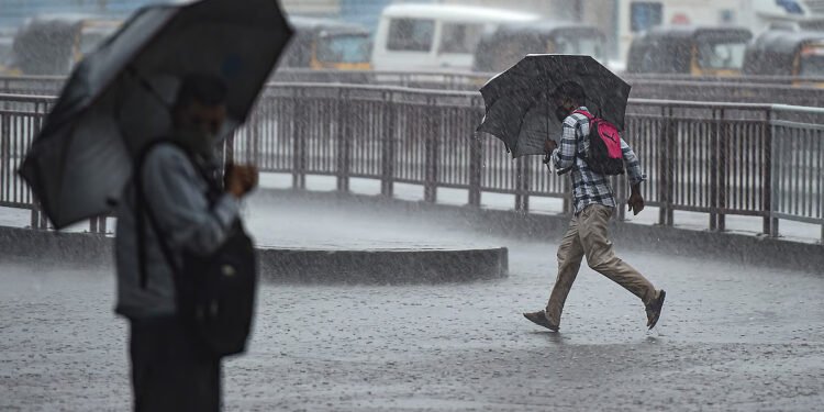 Chennai weather annual temperature rainfall chart showing seasonal patterns climate data